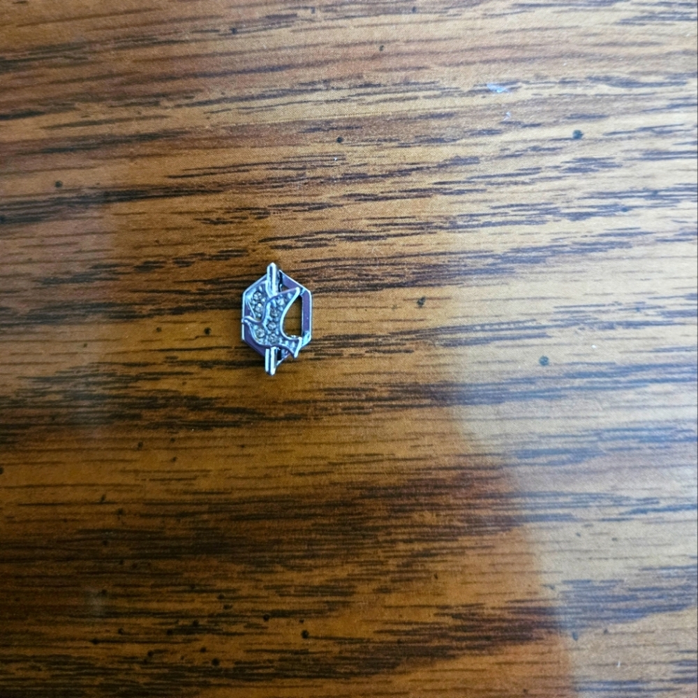 Dove charm